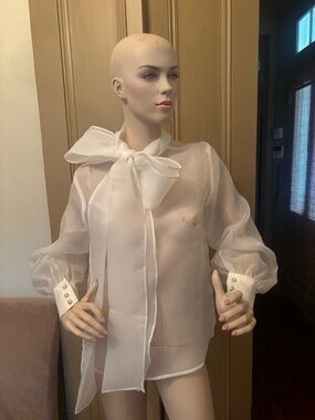 Sheer White Bow-Tie Puff Sleeve Blouse
